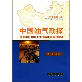 中国油气勘探.第三卷.东部油气区