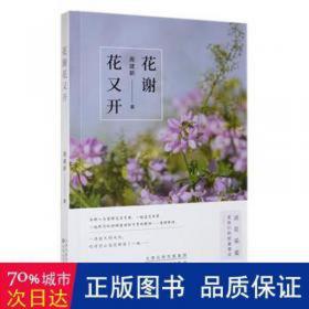 第四、五届中国与东南亚民族论坛论文集