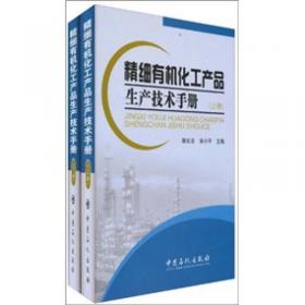 精细化工产品生产技术丛书：颜料生产技术