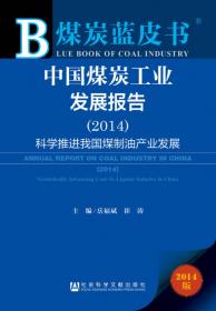 中国煤炭工业发展报告2009：加快推进煤炭企业并购重组（2009版）