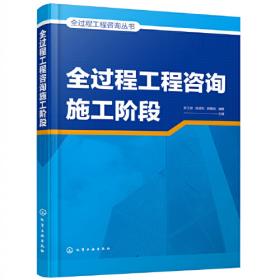 全过程工程咨询丛书--全过程工程咨询总体策划