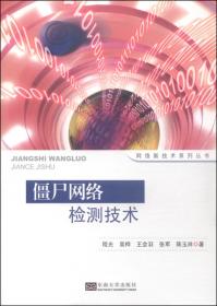 加密流量测量和分析/网络新技术系列丛书