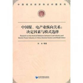 计量经济模型在中国股票市场的应用：中国双重上市公司A、B、H股价格差异实证分析