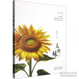 太阳照常升起
