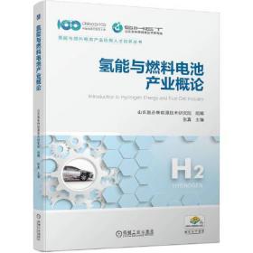 氢能利用产业发展战略研究
