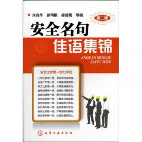 企业安全工作系列读本：典型事故技术评析