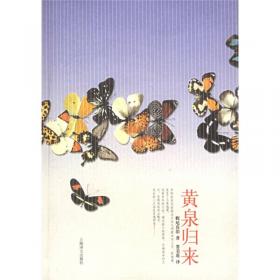 黄泉下的美术(宏观中国古代墓葬)/开放的艺术史丛书