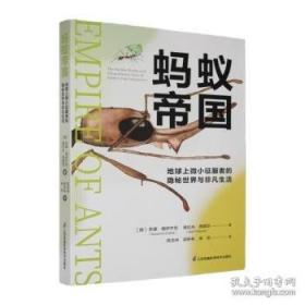 蚂蚁的地下王国/好好玩神奇的生命立体书