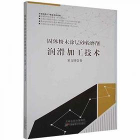 固体矿产勘查三维优化方法--基于R-TIN/GR-TIN勘查网和TTP-根3曲面细分