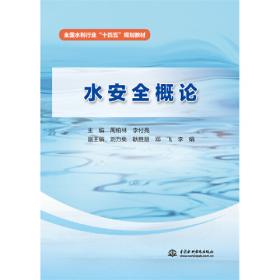 水安全（水食物能源气候的关系）/全球水安全研究译丛