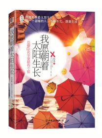 从伤口长出翅膀--芦山地震灾区重建一线实录