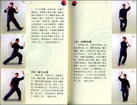 吴式太极拳竞赛套路练习与技击运用（太极拳技击应用丛书）