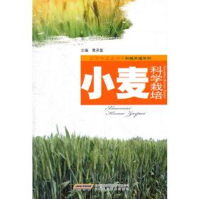 砂姜黑土培肥与小麦高产栽培