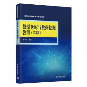 高等院校信息管理与信息系统专业系列教材：数据仓库与数据挖掘教程（第2版）