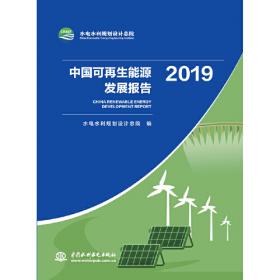 中国可再生能源发展报告2020