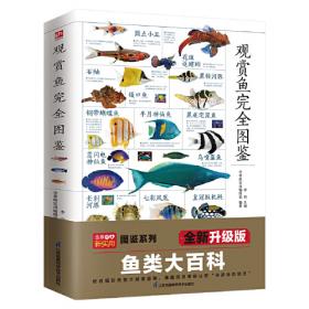 观赏鱼养殖与鉴赏系列·坦湖慈鲷：欣赏、饲养与繁殖