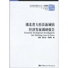 理性出击:中国企业改革分析