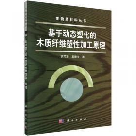 生物质材料丛书：木质材料阻燃技术