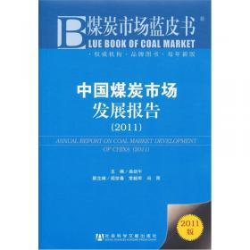 中国煤炭市场蓝皮书：中国煤炭市场发展报告（2013）