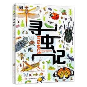 新昆虫记 献给热爱自然的孩子 科普桥梁书共9册