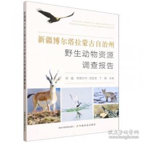新疆维吾尔自治区建筑安装工程费用定额:2010