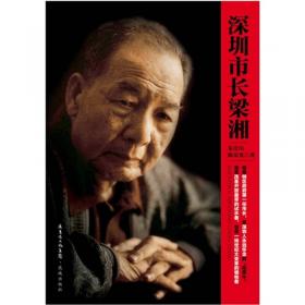 深港澳小说系列：风中灯