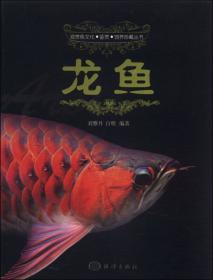 小型热带鱼/家养观赏鱼系列