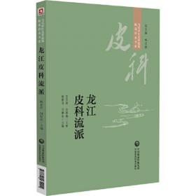 龙江村志全集（套装共22册）