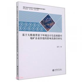 (专著)2010中国能源法研究报告(本书研究会)