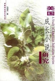 蒲公英的种子：华裔文学与中国文化海外传播研究