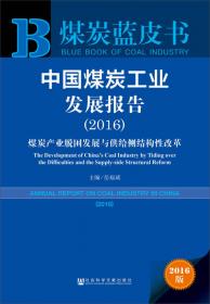 煤炭蓝皮书：中国煤炭工业发展报告（2019）
