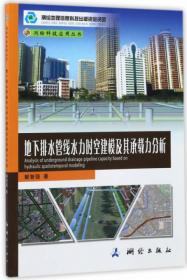 测绘科技应用丛书：城市地下管线信息化方法与实践