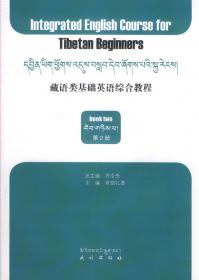 藏语语音研究