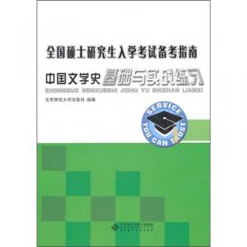 全国硕士研究生入学考试备考指南：中国现当代文学史