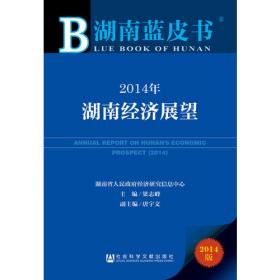 湖南蓝皮书：2015年湖南电子政务发展报告