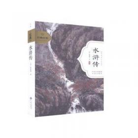 中国古典四大名著丛书：水浒传（套装共3册）