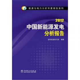能源与电力分析年度报告系列：2012中国电力供需分析报告