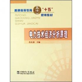 普通高等教育“十一五”国家级规划教材 电力技术经济原理