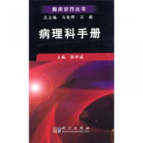 经济外交——北京大学国际关系学院系列教材