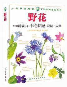 百科珍藏图鉴系列：香草与香料