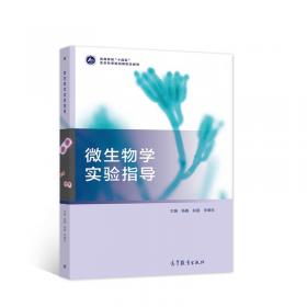中山大学放射肿瘤学系列丛书：鼻咽癌放射治疗计划设计与方法