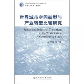 上海经济改革与城市发展：实践与经验