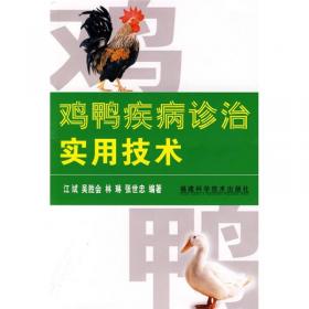 鸡鸭鹅鹑饲养与疾病防治新技术（农村致富金钥匙）