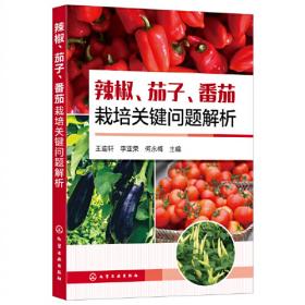 辣椒生产技术指南