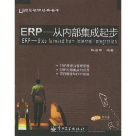 ERP：从内部集成起步（第3版）