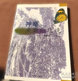 神奇的镜子冥想：拥抱你内心的小孩