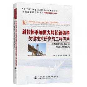 斜拉桥（索桥类）结构发展和中国经验（下）