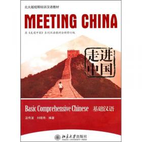 汉语二语者书面语体习得研究 北京大学人文学科文库·北大对外汉语研究丛书 汲传波