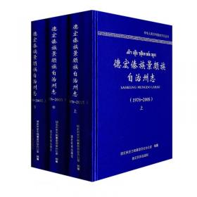 德宏傣语同音词典