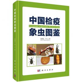 京津新城昆虫与蜘蛛生态图册(精)